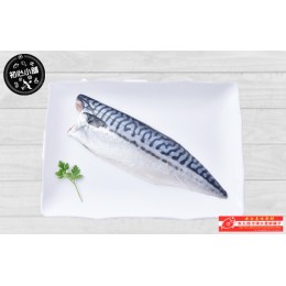 野生鯖魚片（挪威）